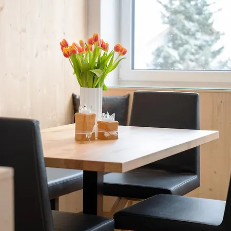 Silvrettahorn شقة *